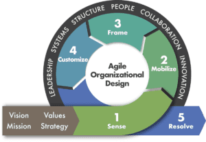 Organizational Design Certification | Receive Your Organizational ...